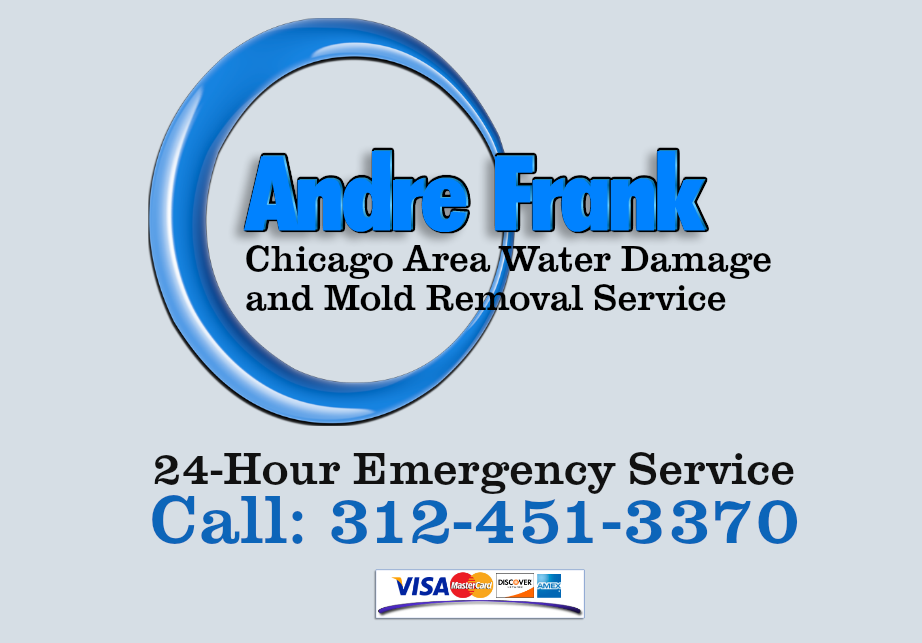 Deerfield IL area mold inspection, testing and removal service. Call or text 312-451-3370